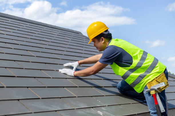 Best Roof Ventilation Installation  in Freeport, IL