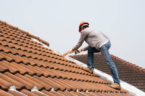 Best Chimney Flashing Repair  in Freeport, IL