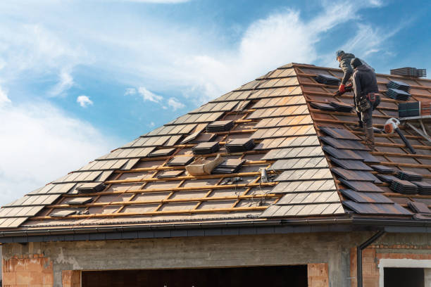 Best Emergency Roof Repair Services  in Freeport, IL