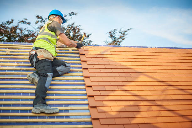 Best Green or Eco-Friendly Roofing Solutions  in Freeport, IL